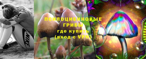 ALPHA PVP Вяземский