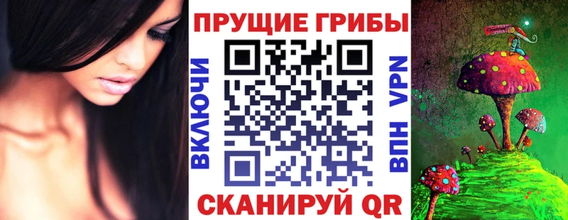Псилоцибиновые грибы мухоморы  магазин продажи   Канск 